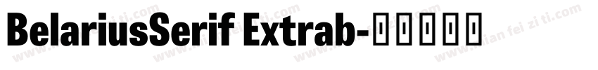 BelariusSerif Extrab字体转换